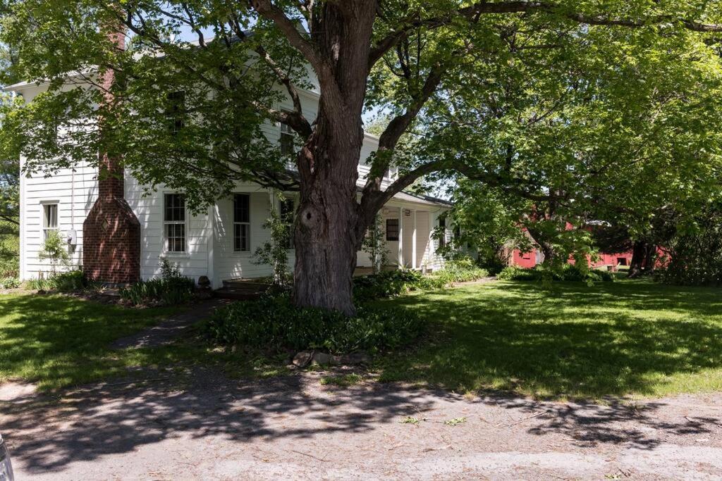 King Hill Cottage Greenville Exteriér fotografie